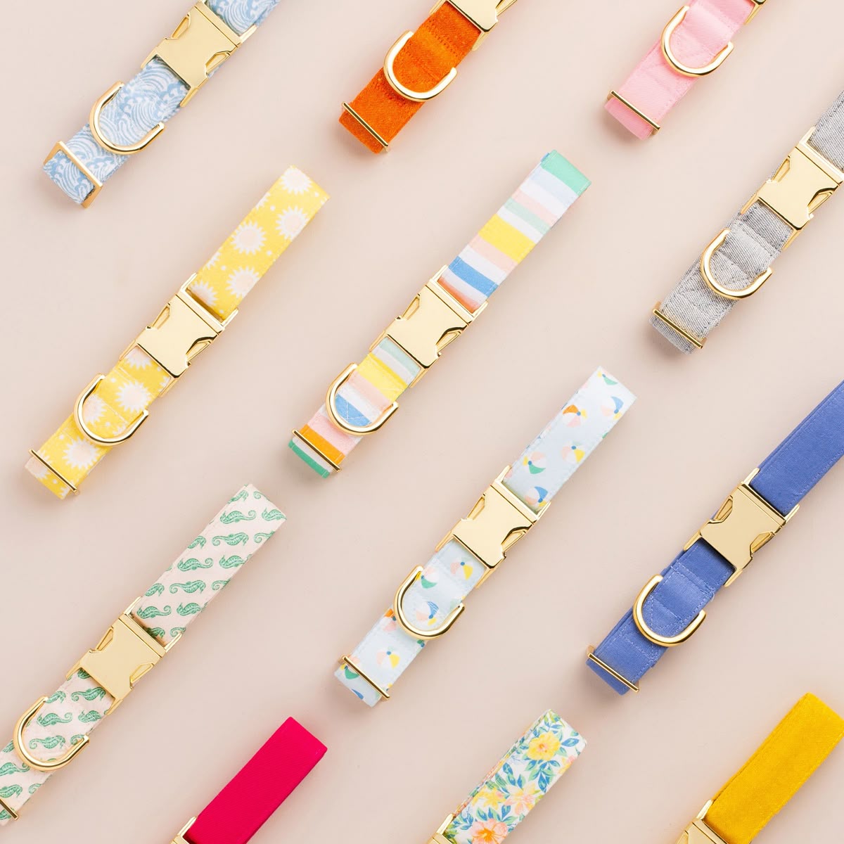 Why Dog Collars Are More Than Just Fashion Statements