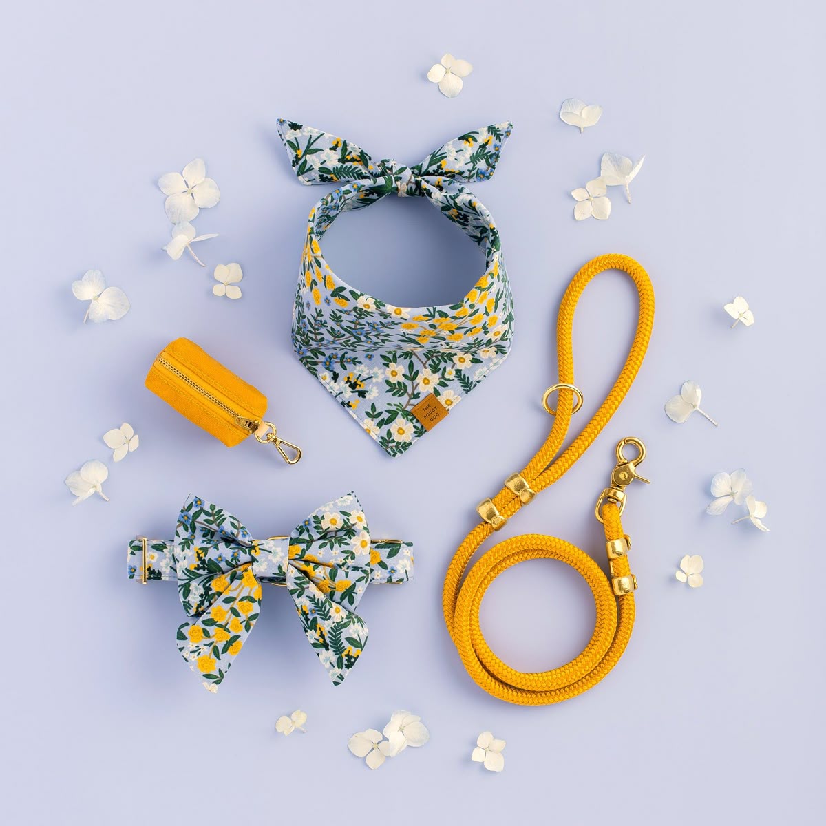 Top 10 Dog Accessories Every Pet Owner Needs