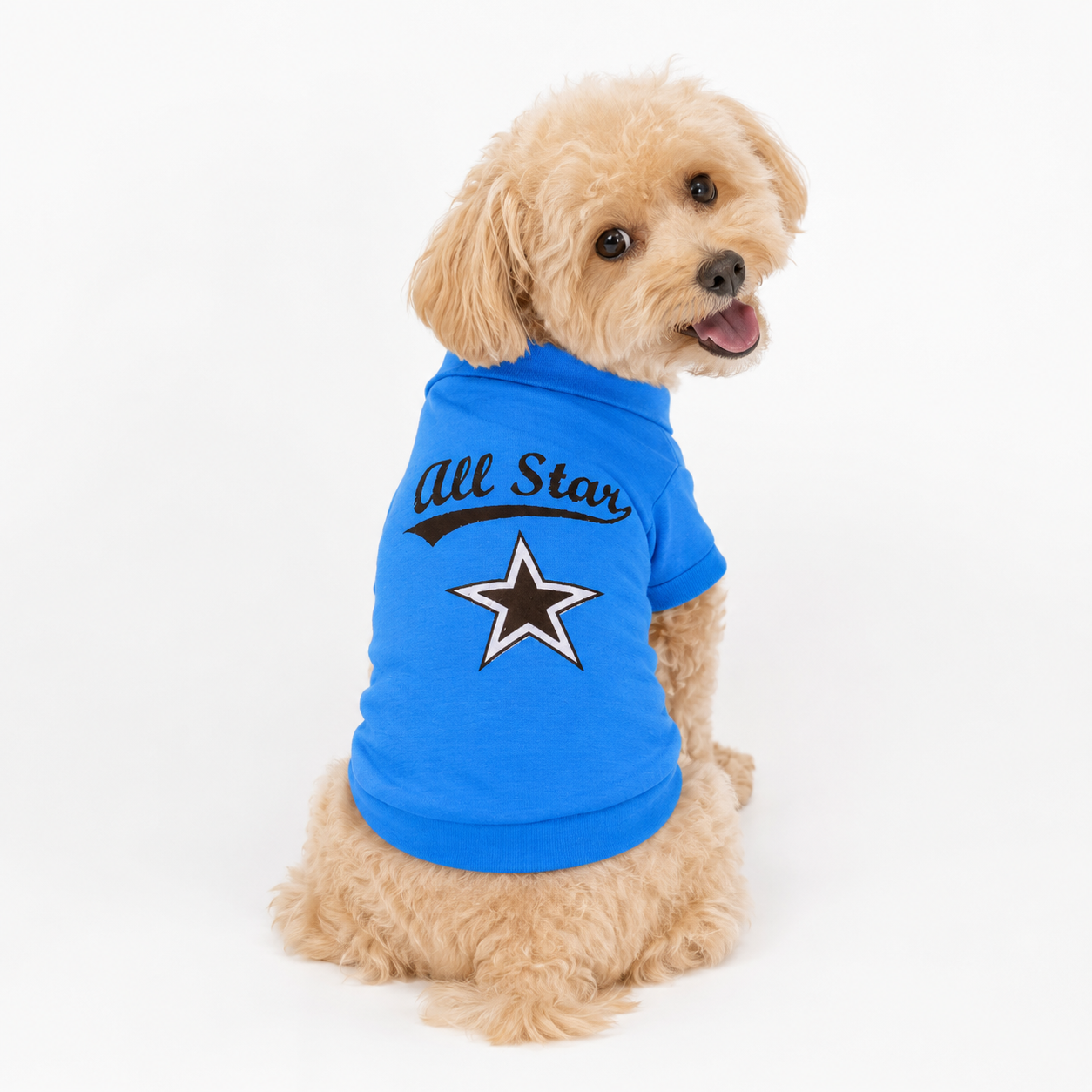 Blue All Star pet shirt for dogs and cats
Small dog wearing blue All Star shirt
Cat wearing blue All Star pet shirt
Lightweight blue dog and cat shirt
Summer pet shirt with star print